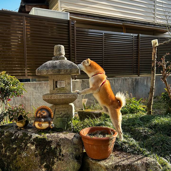 71986a34 1812 4364 b71d c4b93ac4c2d1 1773565347500