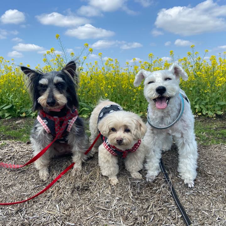 71986c77 919d 4776 be70 2c83c8a326a1 1774703025341