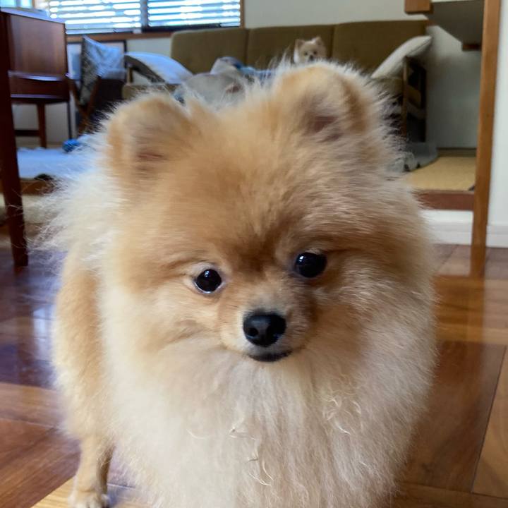 71988b35 b72e 480c b21a 8ca0c40c60ca 1686628760534