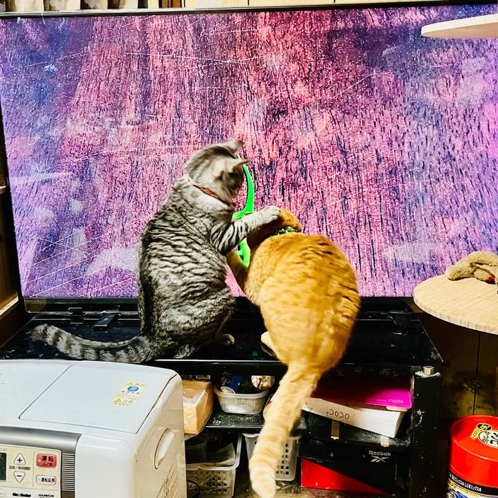 71989c4b 119e 49dd 8275 ff532df2bf46 1774339692703