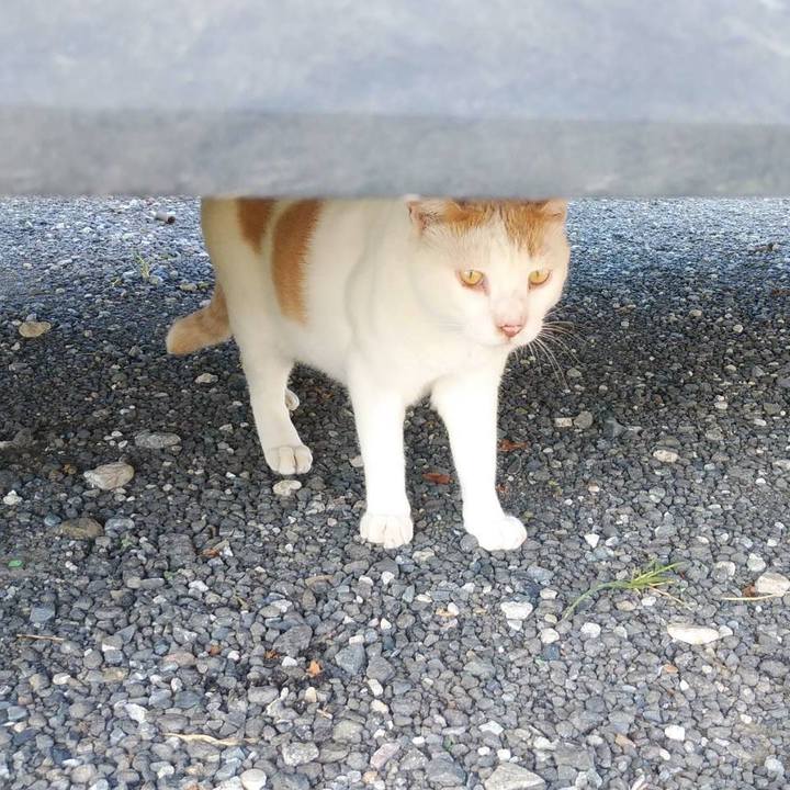 7198a4f5 3d0e 4152 a702 e56a81311a6f 1599183154603