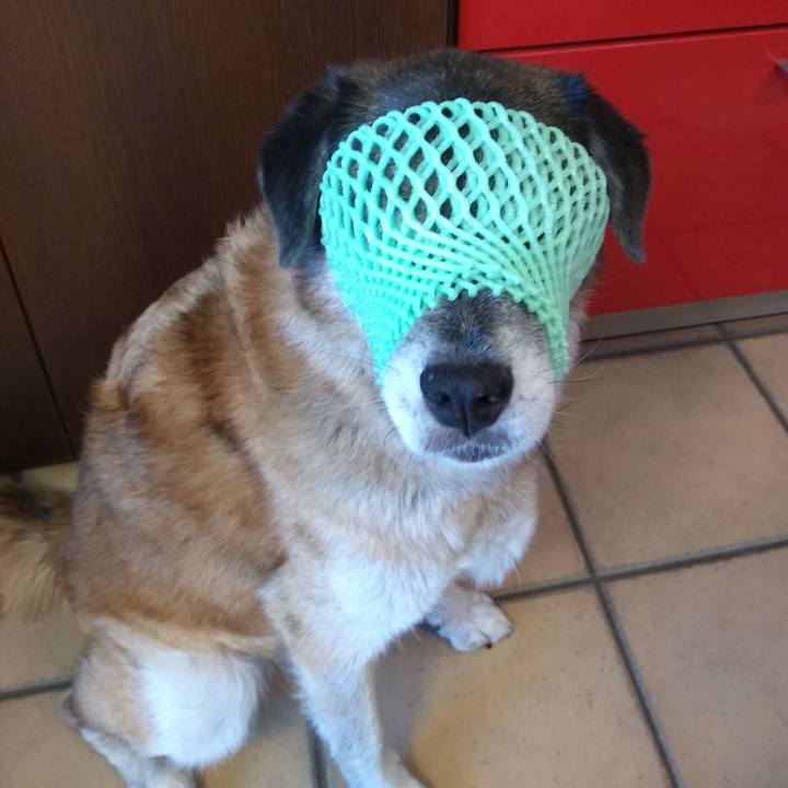 7198a918 01ae 4ba1 adaa 071cdd3aa9c1 1566104906186