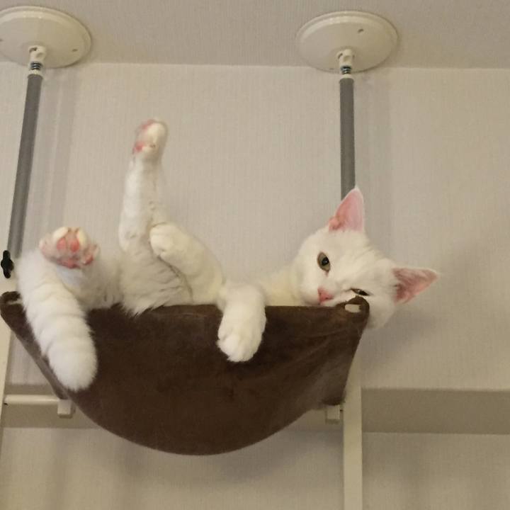 7198b07d 4298 4469 be0b 6d7a908da32f 1510026985905