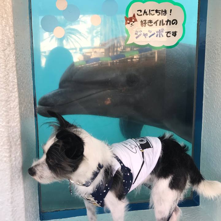 7198d1c2 770d 4545 8e31 c1e347a96063 1540114147180