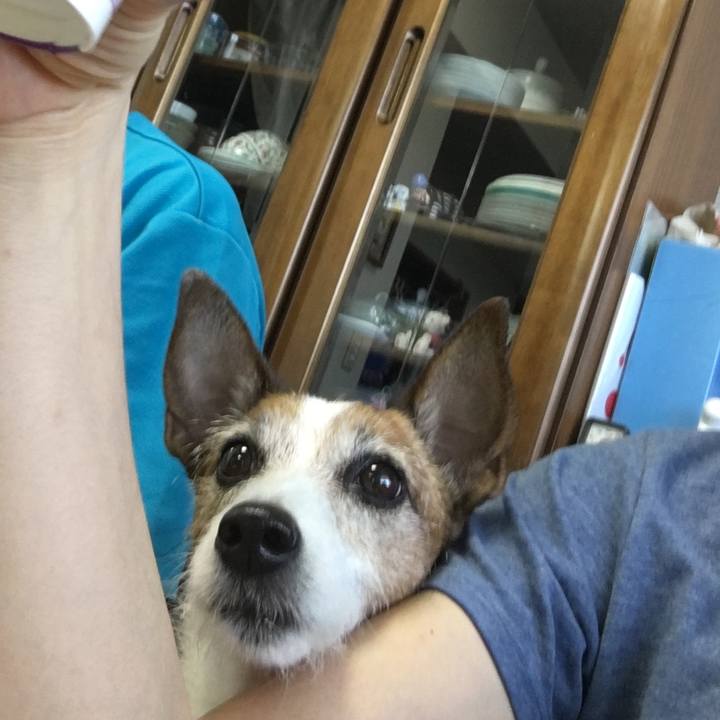 71992fc5 622d 4227 876e a43d12ef43e7 1591828373641