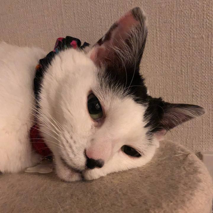 71993ae9 fc30 4f16 b296 720829cd575a 1525701323953