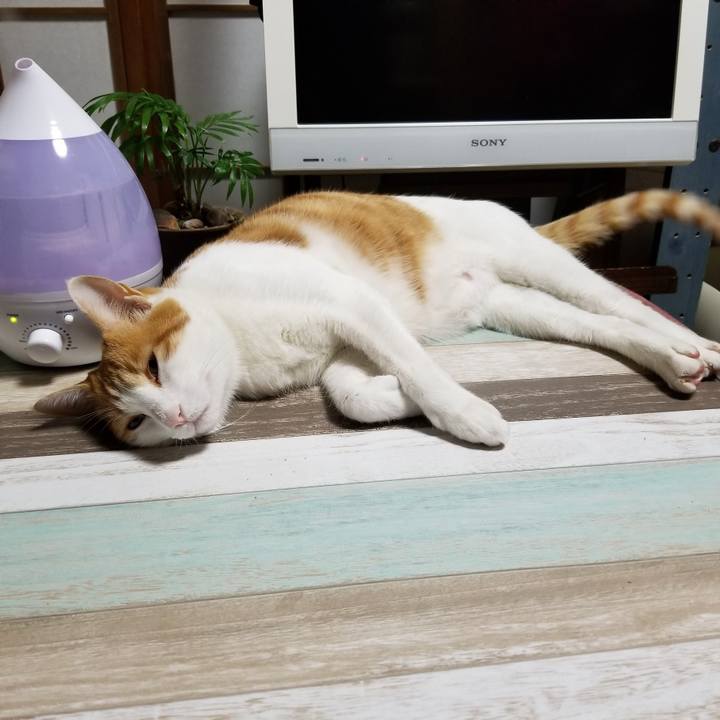 7199447e 6684 40ce 896b 487b1ce0c3d8 1541427130121