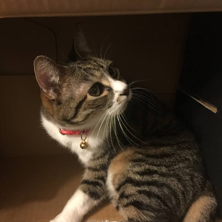 71995faa 2c6a 44e0 a806 2f21b4aeba1e 1548773660281