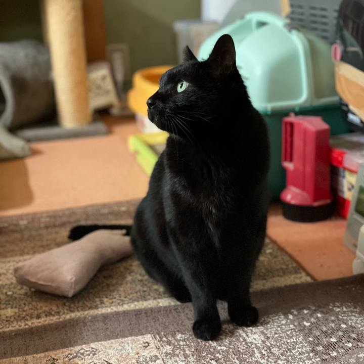 71997c0e 279f 4a01 afe2 92b8601c102f 1613700138625