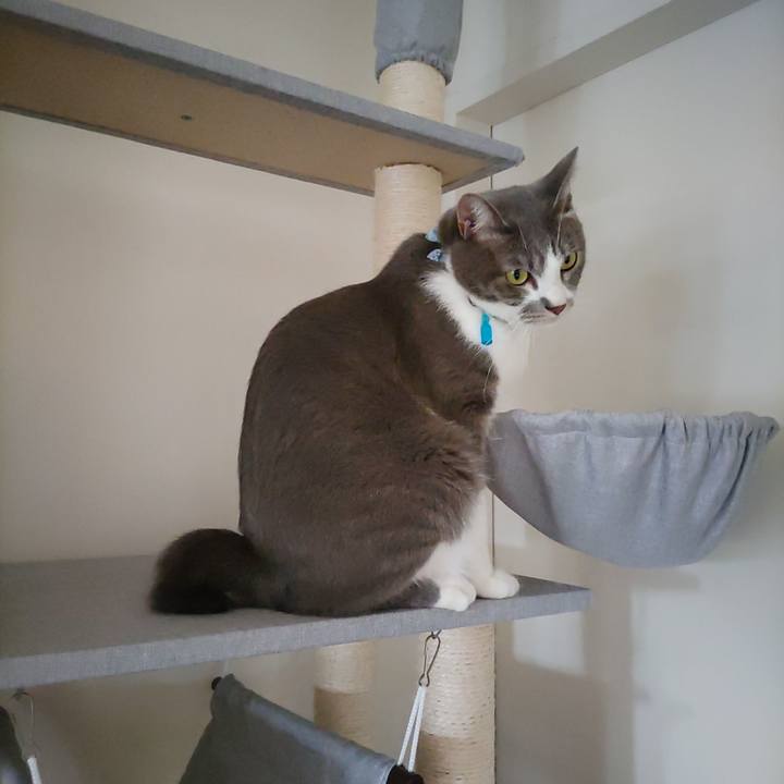 719994cd 0d9a 44db 84c6 15720b84b223 1664856785358