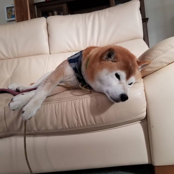 7199dbd0 1a15 4a31 a022 3cc4fbbb044e 1672272491567