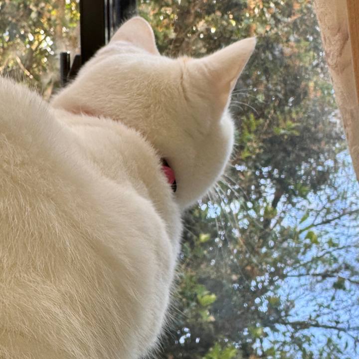 7199fd5b 708a 4e0a b483 27b9938e7357 1767413250169