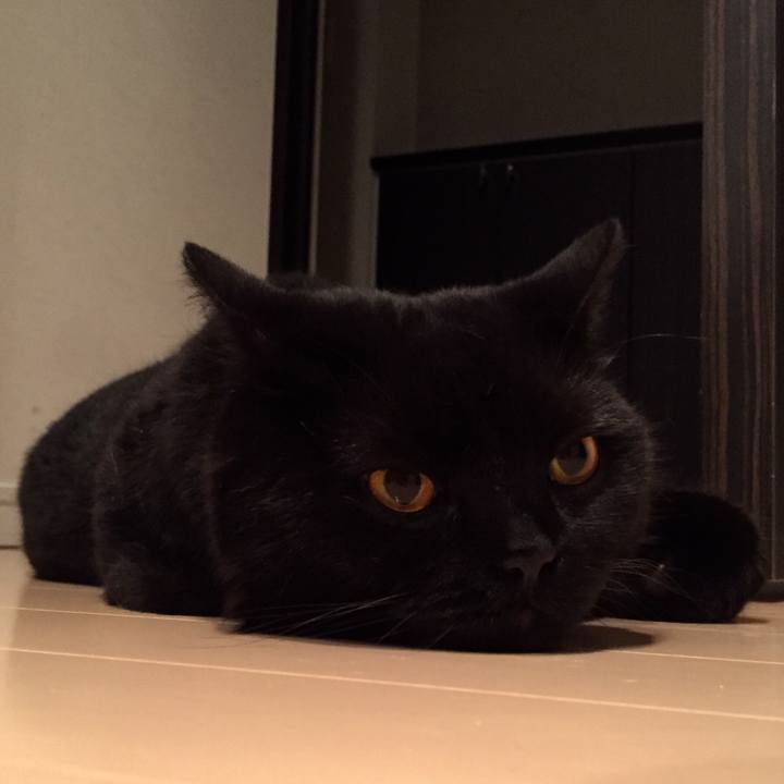 719a07f4 2ea6 4188 98e6 82790d49640e 1593955099585