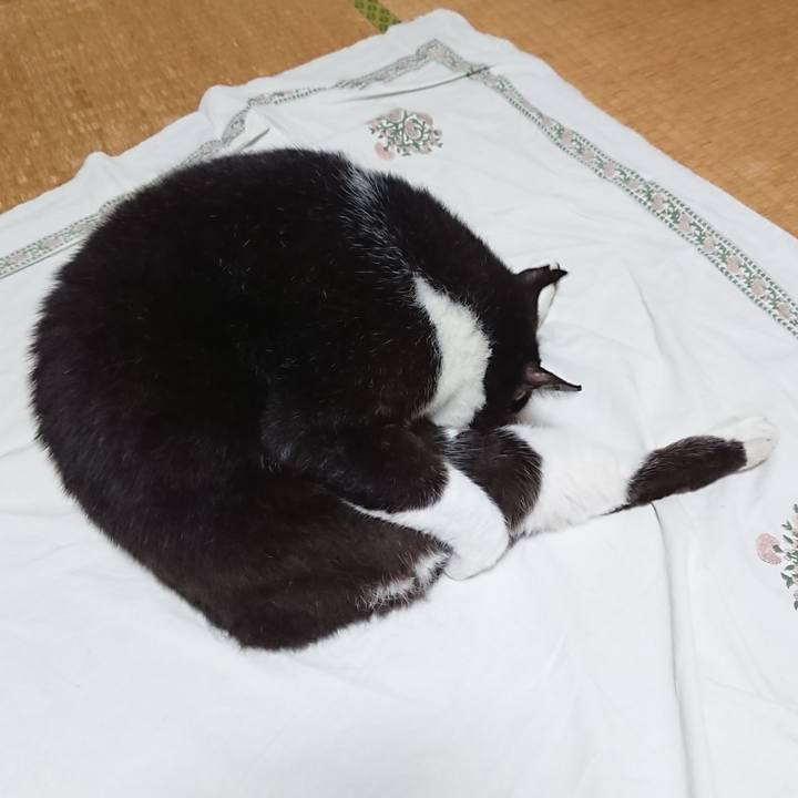 719a0fc5 cda6 4736 8f5c 65d17a4bd004 1657962087646