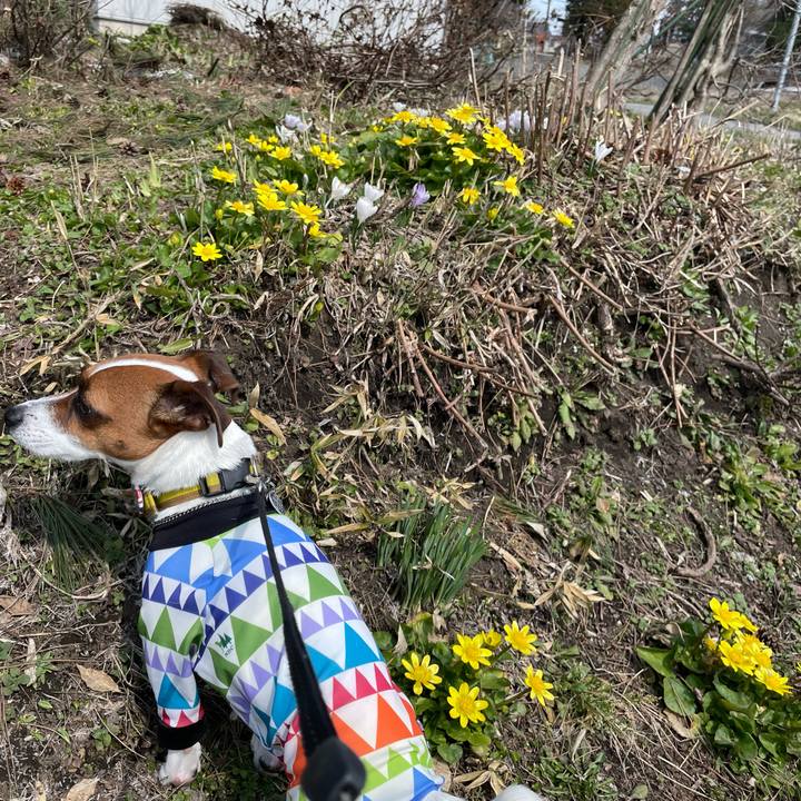 719a45ff ccf6 4cfa af29 bd487bc2b440 1649330975872