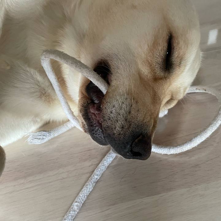 719a5851 6c9d 4a65 ab75 7eeb753fedc8 1660090599496