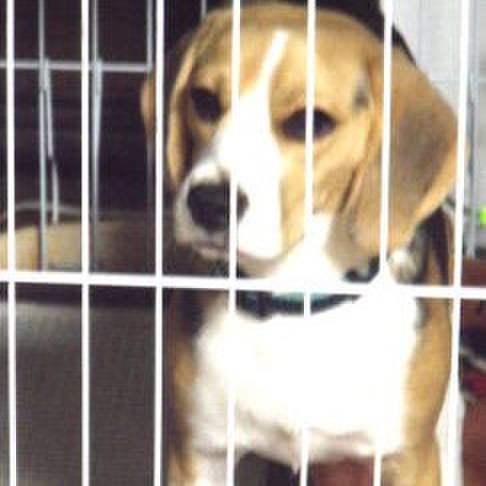 719a627a c831 4a1c 8e3a eabeaa2ecdcc 1686000203966