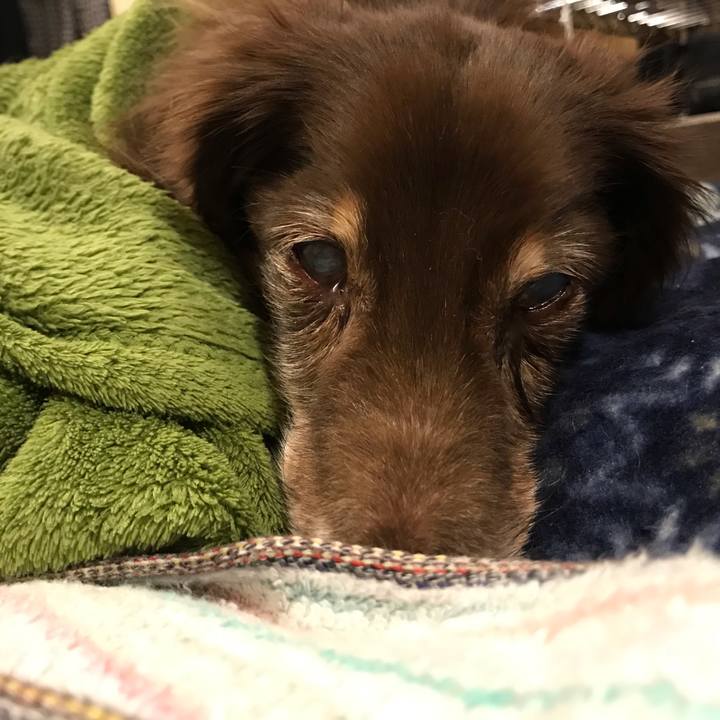 719a9dd9 9aa1 40cb 9a32 ca22c6861f26 1550761898397