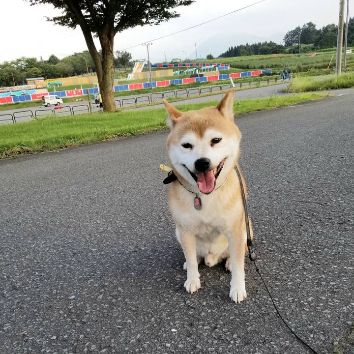 719ac2fd 4e51 47be 850c b2fbf5c94f3b 1598171652126