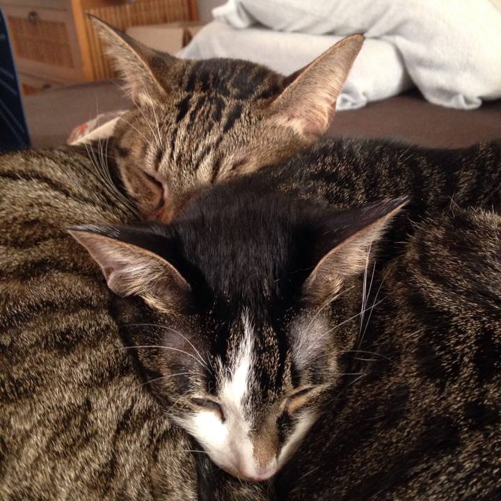 719b1ac1 8acf 45af 9019 e5d75ab68d54 1513611363935