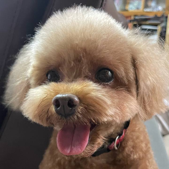 719b29d7 2472 47a4 9315 a83d45828728 1694843408100