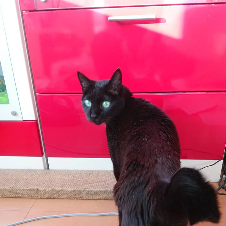 719b3808 66f8 4328 80de da778bc7e1eb 1517143844659