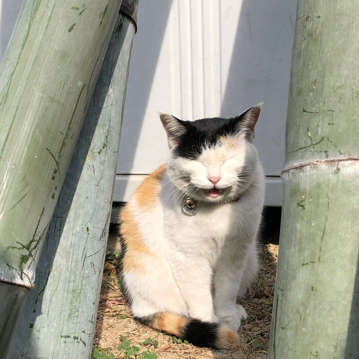 719b499e 220d 44c6 af90 e4721bcd35f3 1608708062809