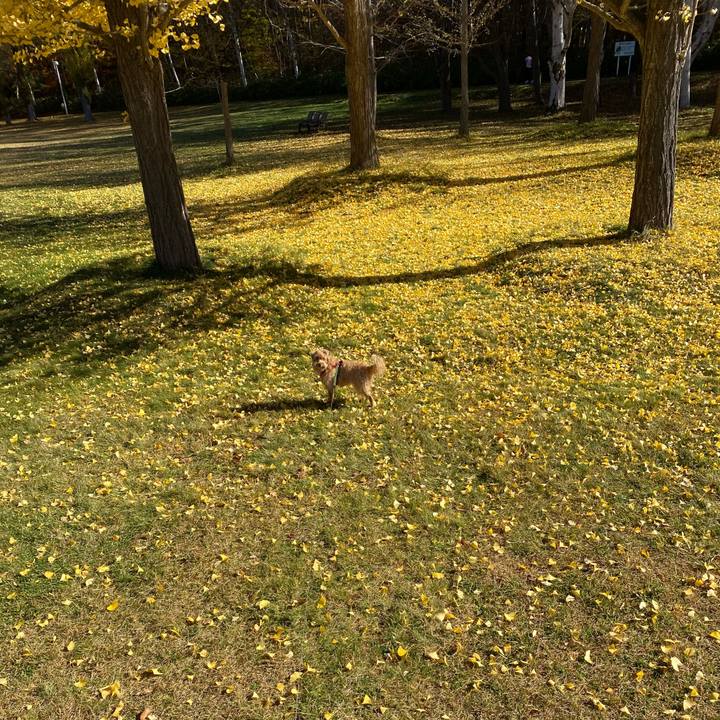 719b7747 bf3d 49b2 b6a2 1226e3dbea89 1667347253097