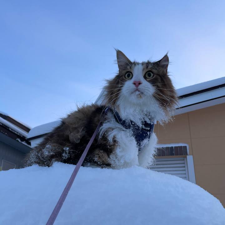 719b7f32 4d22 433a b211 9601d1c940a3 1709425677247