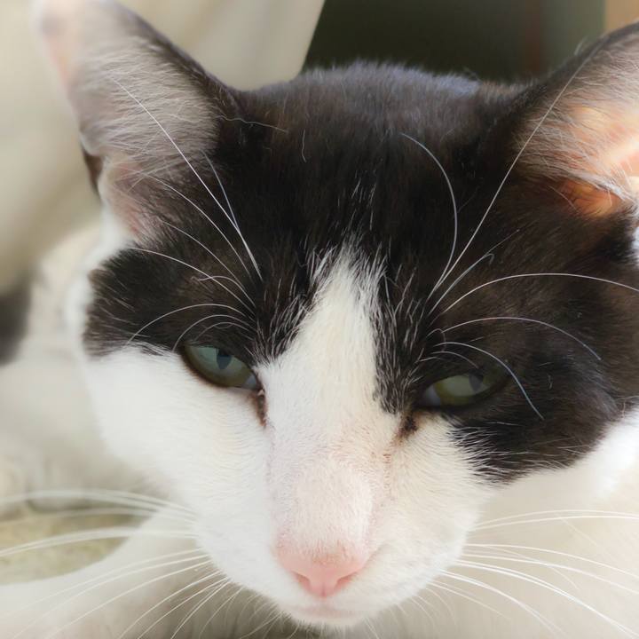 719b9869 b458 4d92 9230 36369caa0b26 1560824996862