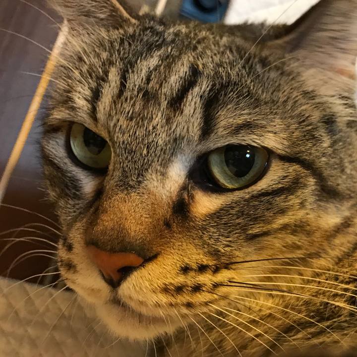 719bb2f2 37cf 4872 8c42 6b231629b556 1524898186367