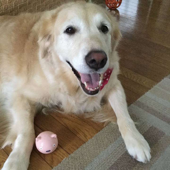 719bc78a ee6e 4f78 91a4 59442bd28c11 1569016488510