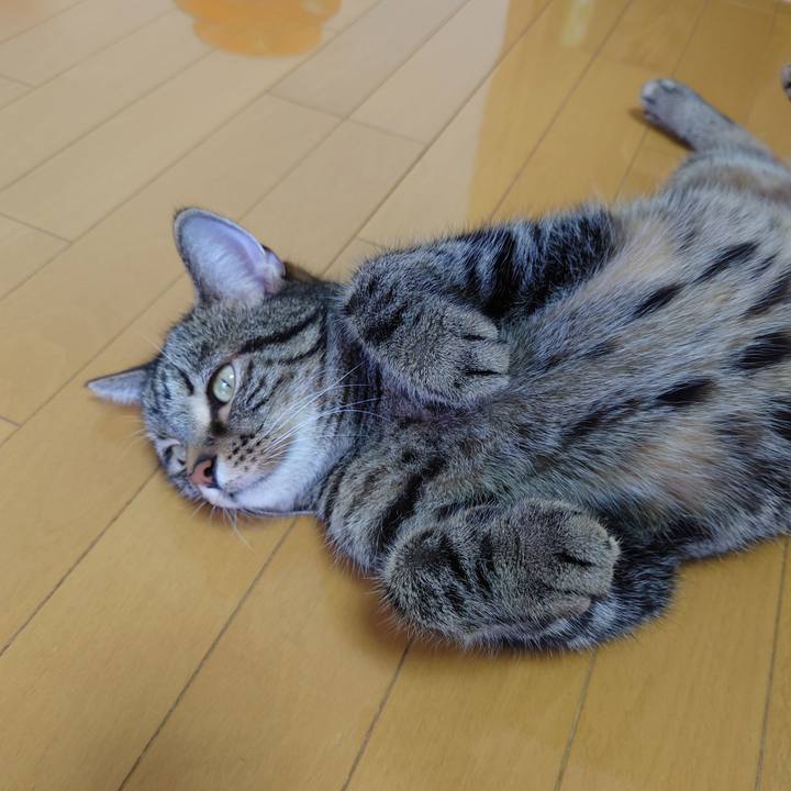 719c2cd5 5a2f 4b7b 9232 80eed130208e 1630381865541