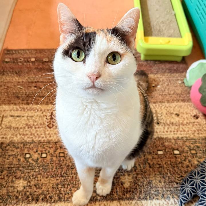 719c356f 9e9d 4b6b bffa 1b35e5cf0ea3 1770778055381