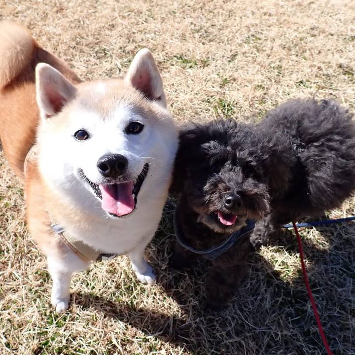 719c874c f35d 42f5 8551 3709a0c38ca8 1739225287972