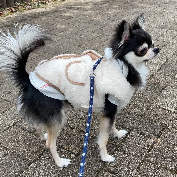 719cbc16 81a2 4b01 9a6b 1d5bdf23f266 1644733887747