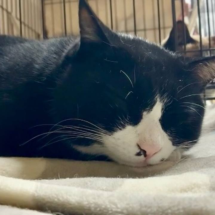 719cdd3c 0dc4 4bef a140 c85b448d105b 1774865114260