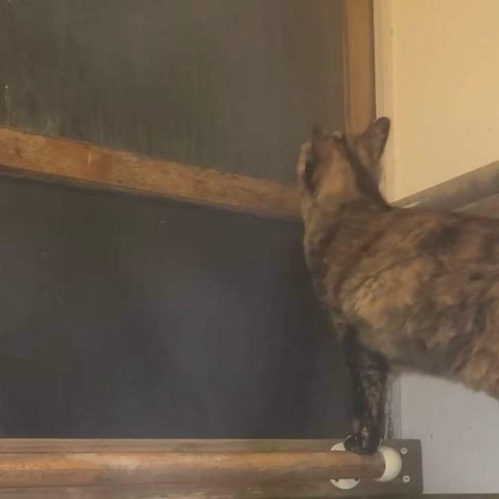 719cf673 815f 4f41 9bb9 b57e2b683327 1775078496418