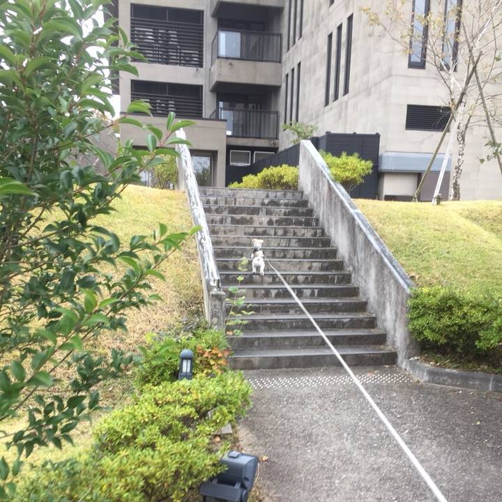 719d0cb5 9ae5 4d8f 8e74 e48fcaf883a3 1509537249448