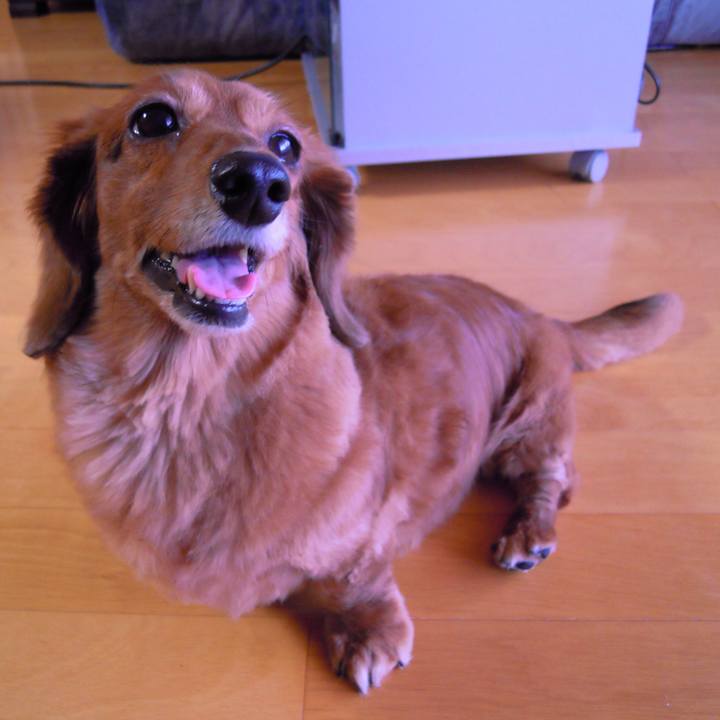 719d1167 015e 419e 9015 8fe5697d62b1 1540491355493