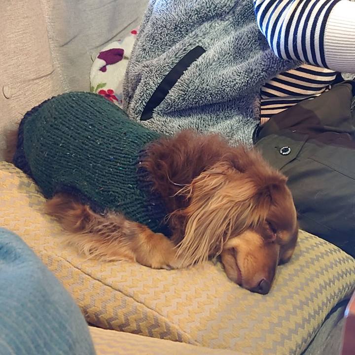 719d1563 483b 4125 842d c27347856d8a 1608601511588