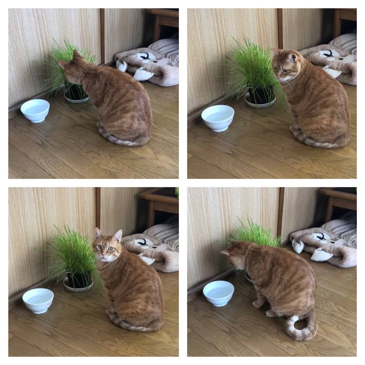 719d196b abd3 4cd5 ba91 f14953e36deb 1582519451643