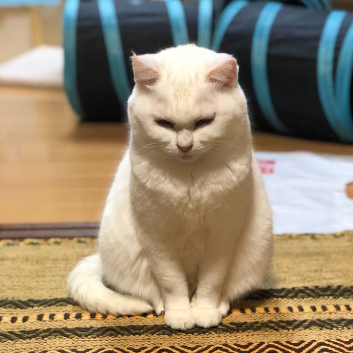 719d4368 9c15 4080 91c5 6350fb4da505 1541301095652