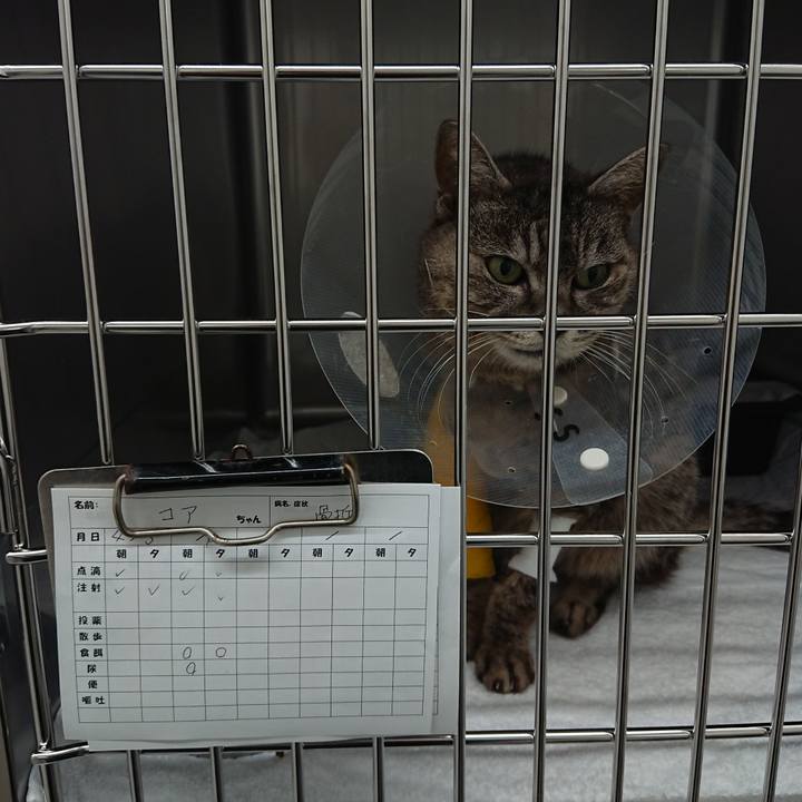 719d6385 3cce 44a0 8730 577aa6b19161 1586164210026