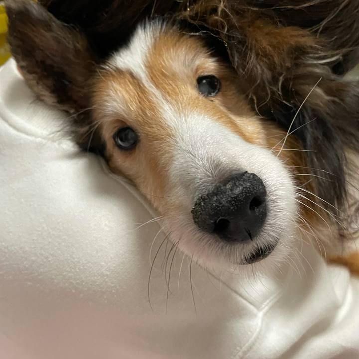 719d920b 0513 4717 b0a7 ced21fc22f45 1634995843428