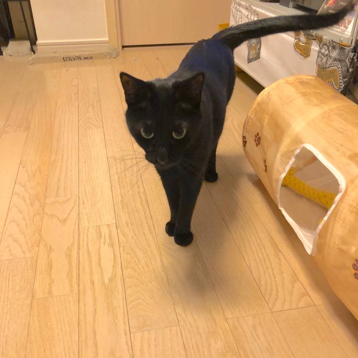 719d9e2f f251 47b7 a64c 4b3139dcc956 1554643408484