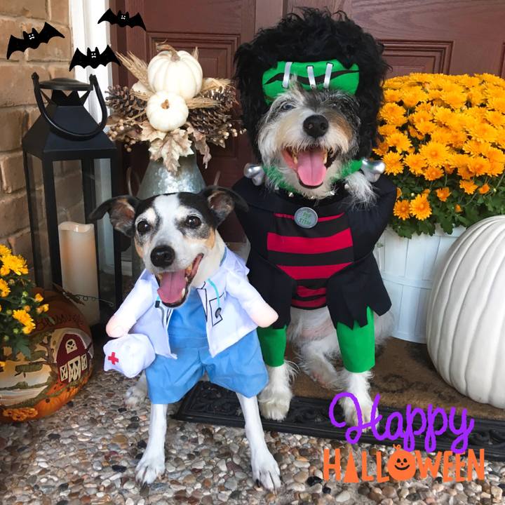 719de867 fd26 4658 a51c e8f2dc18de81 1572473535554