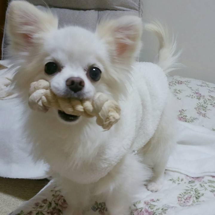 719e23b4 dbca 44b8 a008 13b5896c8191 1509184110815