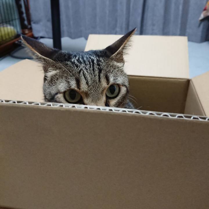 719e90ac ac1d 4d2a ba94 e5c3969ad038 1596555134896