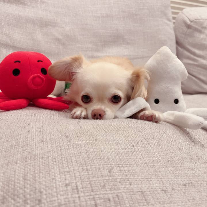 719ed793 80ea 4009 ad26 7331431d54b2 1719577054348